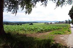 Die Senke stlich von Hiltersried, wo 1433 die Hussitenschlacht tobte