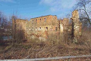 Die Ruine des Wasserschlosses Mechelgrn