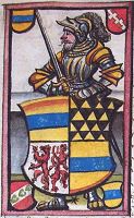Heinrich VII. Notthafft