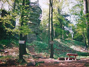 Ruine Weissenstein