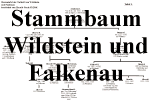 Stammbaum Wildstein und Falkenau