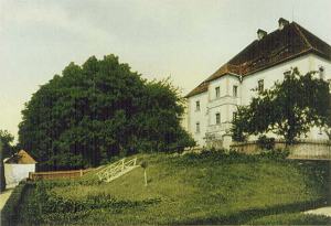 Schloss Friedenfels 1900 - farbiger Lichtdruck von 1898
