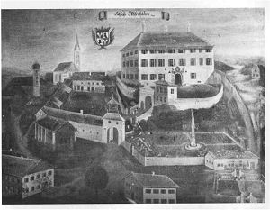 Wiesenfelden auf einem Gemlde von 1756